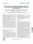 Research paper thumbnail of Distinct regulation of adiponutrin/PNPLA3 gene expression by the transcription factors ChREBP and SREBP1c in mouse and human hepatocytes