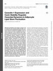 Research paper thumbnail of Caveolin-1 expression and cavin stability regulate caveolae dynamics in adipocyte lipid store fluctuation