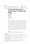 Research paper thumbnail of The Effects of Work Ethics Practices on Hospital Performance: A Field Study on Public Hospitals