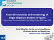 Research paper thumbnail of About the dynamics and morphology of single ellipsoidal bubbles in liquids