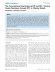 Research paper thumbnail of The Transcriptional Coactivators p/CIP and SRC-1 Control Insulin Resistance through IRS1 in Obesity Models