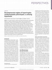 Research paper thumbnail of Developmental origins of hypertrophic cardiomyopathy phenotypes: a unifying hypothesis