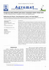 Research paper thumbnail of The Use of Reflective Mulch in Soybean-Oil Palm Intercropping System