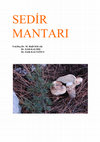 Research paper thumbnail of SEDİR MANTARI