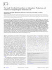 Research paper thumbnail of The small RNA RyhB contributes to siderophore production and virulence of uropathogenic Escherichia coli