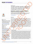 Research paper thumbnail of The RyfA small RNA regulates oxidative and osmotic stress responses and virulence in uropathogenic Escherichia coli