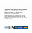 Research paper thumbnail of The stress-responsive Hsp90 chaperone is required for the production of the genotoxin colibactin and the siderophore yersiniabactin by Escherichia coli