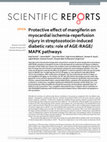 Research paper thumbnail of Protective effect of mangiferin on myocardial ischemia-reperfusion injury in streptozotocin-induced diabetic rats: role of AGE-RAGE/MAPK pathways