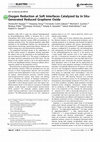 Research paper thumbnail of Oxygen Reduction at Soft Interfaces Catalyzed by In Situ-Generated Reduced Graphene Oxide