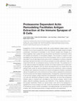 Research paper thumbnail of Proteasome Dependent Actin Remodeling Facilitates Antigen Extraction at the Immune Synapse of B Cells