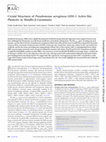 Research paper thumbnail of Crystal Structures of Pseudomonas aeruginosa GIM-1: Active-Site Plasticity in Metallo-β-Lactamases