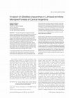 Research paper thumbnail of Invasion of Gleditsia triacanthos in Lithraea ternifolia Montane Forests of Central Argentina