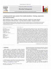 Research paper thumbnail of α-Hydroxynitrile lyase protein from Xylella fastidiosa: Cloning, expression, and characterization