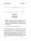 Research paper thumbnail of Alcohol Consumption Patterns: Gay and Lesbian Urban Ethnic Minority Members