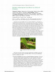 Research paper thumbnail of Decline of European Corn Borer as a Pest of Potatoes