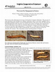 Research paper thumbnail of Wireworm Pest Management in Potatoes