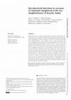 Research paper thumbnail of Mycobacterial infections in carcasses of ruminants slaughtered at the two slaughterhouses of Kassala, Sudan