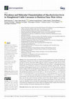 Research paper thumbnail of Prevalence and Molecular Characterization of Mycobacterium bovis in Slaughtered Cattle Carcasses in Burkina Faso; West Africa