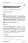 Research paper thumbnail of Morphological abnormalities in ticks (Acari: Ixodidae) feeding on humans in Central Black Sea region, Turkey