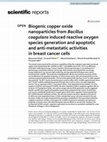 Research paper thumbnail of Biogenic copper oxide nanoparticles from Bacillus coagulans induced reactive oxygen species generation and apoptotic and anti-metastatic activities in breast cancer cells