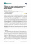 Research paper thumbnail of Exploring Free Energy Profiles of Enantioselective Organocatalytic Aldol Reactions under Full Solvent Influence