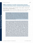 Research paper thumbnail of TRPA1 contributes to specific mechanically activated currents and sensory neuron mechanical hypersensitivity