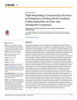 Research paper thumbnail of Flight Morphology, Compound Eye Structure and Dispersal in the Bog and the Cranberry Fritillary Butterflies: An Inter- and Intraspecific Comparison