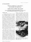 Research paper thumbnail of Roturas tendinosas y musculares en el hombro del deportista