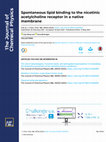 Research paper thumbnail of Spontaneous lipid binding to the nicotinic acetylcholine receptor in a native membrane