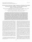 Research paper thumbnail of Mycobacterium tuberculosisTriggers Apoptosis in Peripheral Neutrophils Involving Toll-Like Receptor 2 and p38 Mitogen Protein Kinase in Tuberculosis Patients