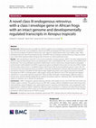 Research paper thumbnail of A novel class III endogenous retrovirus with a class I envelope gene in African frogs with an intact genome and developmentally regulated transcripts in Xenopus tropicalis