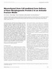 Research paper thumbnail of Mesenchymal Stem Cell-mediated Gene Delivery of Bone Morphogenetic Protein-2 in an Articular Fracture Model