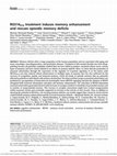 Research paper thumbnail of RGS14 414 treatment induces memory enhancement and rescues episodic memory deficits