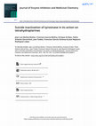 Research paper thumbnail of Suicide inactivation of tyrosinase in its action on tetrahydropterines