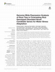 Research paper thumbnail of Genome-Wide Expression Analysis of Root Tips in Contrasting Rice Genotypes Revealed Novel Candidate Genes for Water Stress Adaptation