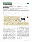 Research paper thumbnail of Immobilization of Selenite via Two Parallel Pathways during In Situ Bioremediation