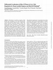 Research paper thumbnail of Differential Localization of Rho Gtpases in Live Cells