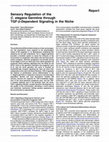 Research paper thumbnail of Sensory Regulation of the C. elegans Germline through TGF-β-Dependent Signaling in the Niche