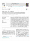 Research paper thumbnail of Cell cycle features of C. elegans germline stem/progenitor cells vary temporally and spatially