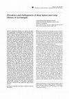 Research paper thumbnail of Prevalence and Pathogenesis of Sleep Apnea and Lung Disease in Acromegaly