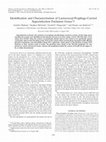 Research paper thumbnail of Identification and Characterization of Lactococcal-Prophage-Carried Superinfection Exclusion Genes