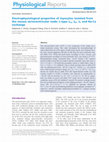 Research paper thumbnail of Electrophysiological properties of myocytes isolated from the mouse atrioventricular node: L-type ICa, IKr, If, and Na-Ca exchange