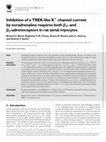 Research paper thumbnail of Inhibition of a TREK-like K+ channel current by noradrenaline requires both β1- and β2-adrenoceptors in rat atrial myocytes