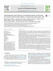 Research paper thumbnail of Antimutagenicity and induction of antioxidant defense by flavonoid rich extract of Myrcia bella Cambess. in normal and tumor gastric cells