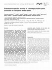 Research paper thumbnail of Endosperm‐specific activity of a storage protein gene promoter in transgenic wheat seed