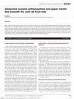 Research paper thumbnail of Subducted oceanic asthenosphere and upper mantle flow beneath the Juan de Fuca slab