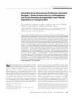 Research paper thumbnail of Paired Box Gene 8-Peroxisome Proliferator-Activated Receptor-γ Fusion Protein and Loss of Phosphatase and Tensin Homolog Synergistically Cause Thyroid Hyperplasia in Transgenic Mice