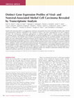 Research paper thumbnail of Distinct Gene Expression Profiles of Viral- and Nonviral-Associated Merkel Cell Carcinoma Revealed by Transcriptome Analysis