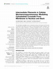 Research paper thumbnail of Intermediate Filaments in Cellular Mechanoresponsiveness: Mediating Cytoskeletal Crosstalk From Membrane to Nucleus and Back