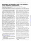 Research paper thumbnail of Novel Role for p90 Ribosomal S6 Kinase in the Regulation of Cardiac Myofilament Phosphorylation